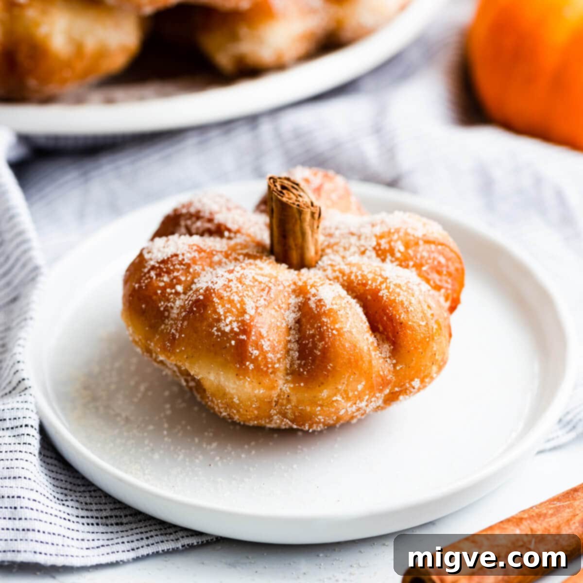 Spiced Pumpkin Doughnut Delights 1 featured 16583