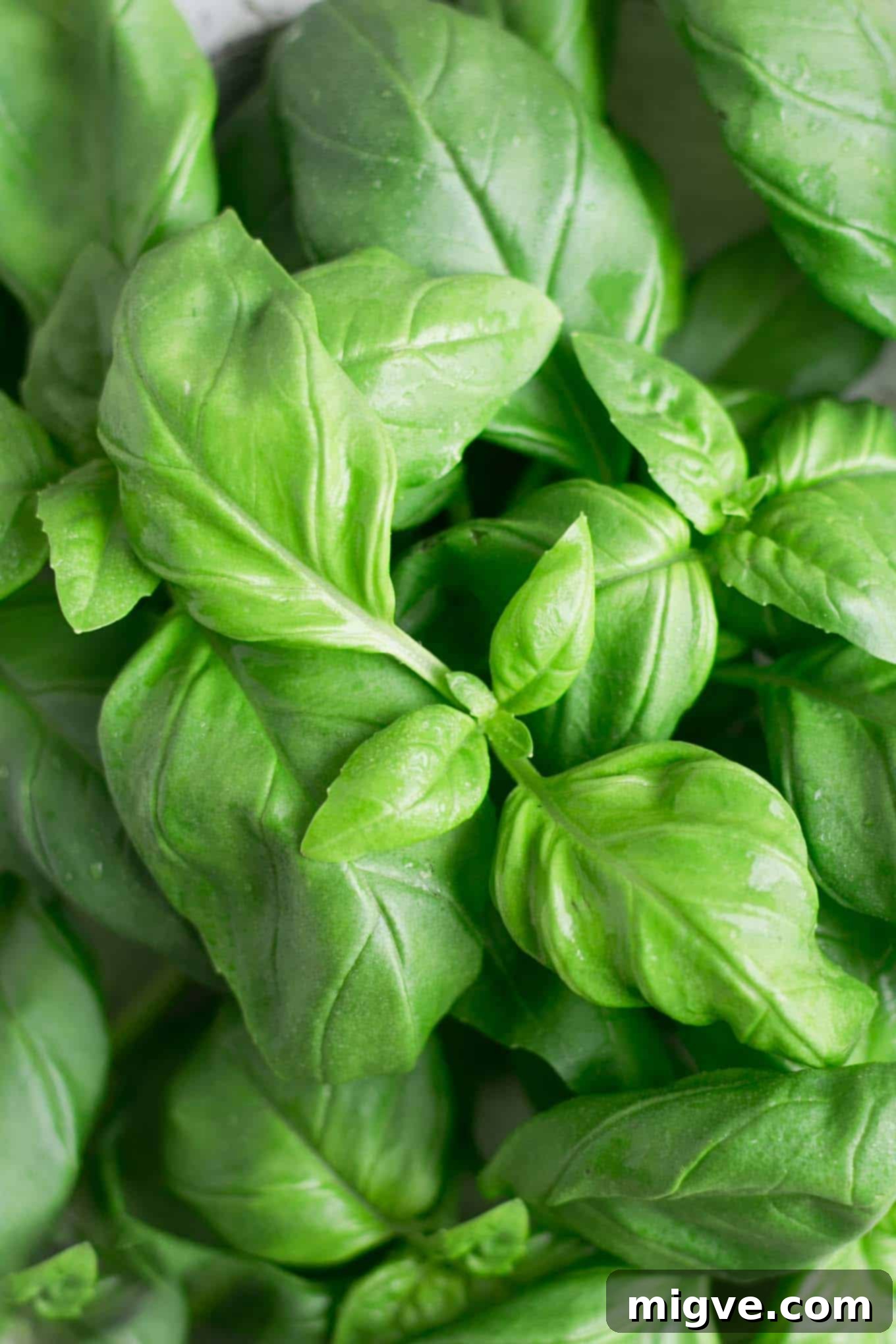 Easy, 5-minute vegan pesto recipe! Perfect for any pasta dishes! #vegan #veganpesto #healthyrecipe | via @annabanana.co