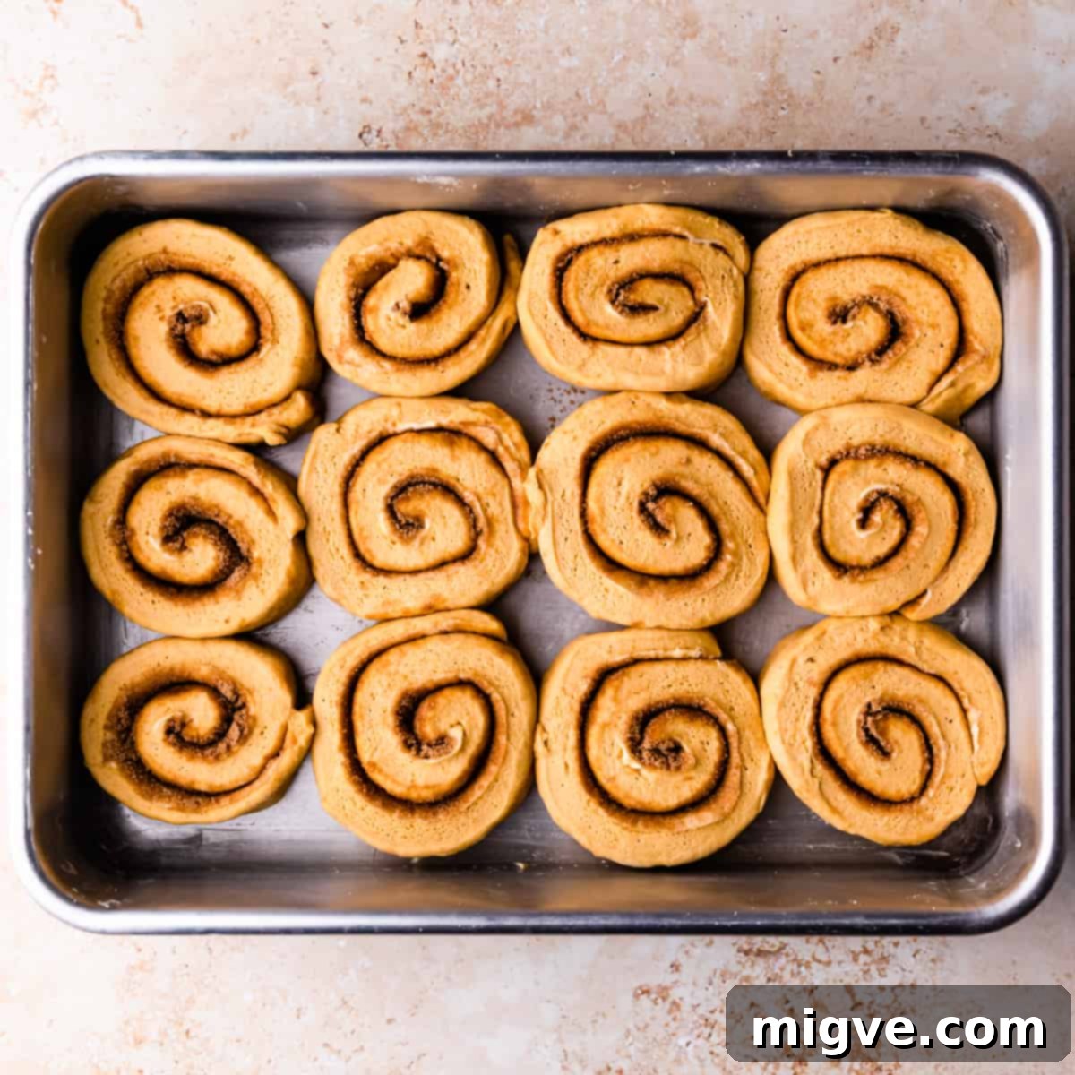 Pumpkin cinnamon rolls arranged in a baking dish, leaving space for a second rise.