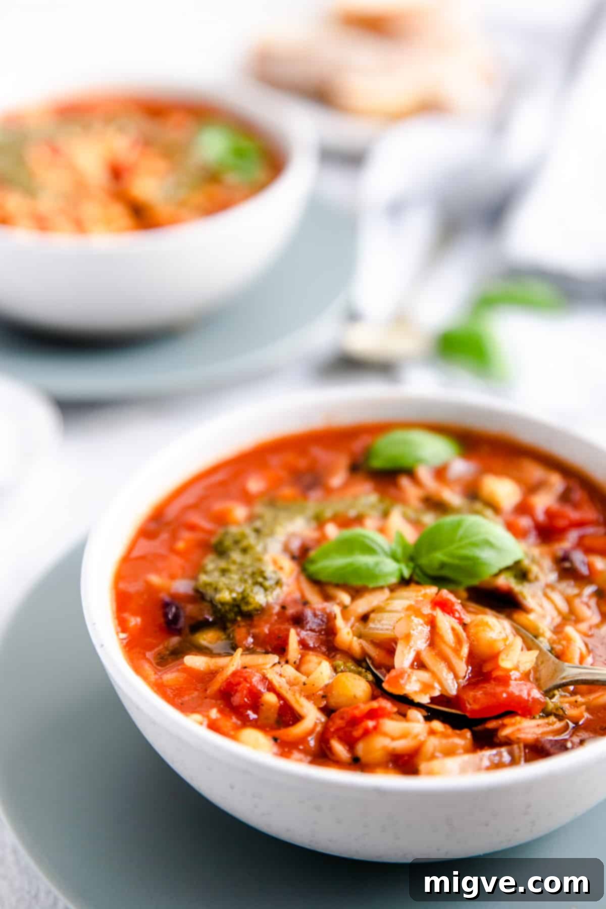 Close-up side shot of a bowl of Orzo and Tomato Soup, showing the rich texture and garnishes