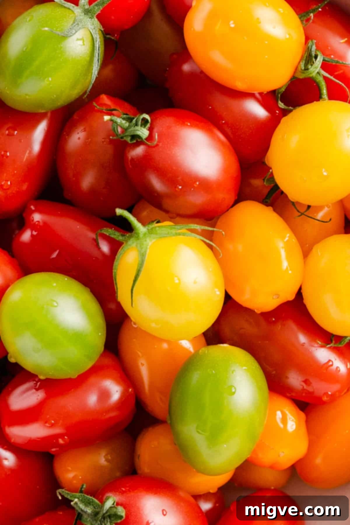Vibrant Tomato & Savory Cheese Tartlets 3 An overhead close-up shot showcasing a beautiful assortment of colorful baby plum tomatoes, highlighting their freshness and variety.