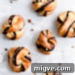 Swirled Chocolate Hazelnut Babka Buns 12 Overhead shot of baked chocolate hazelnut babka buns on a white background, ready to be enjoyed.
