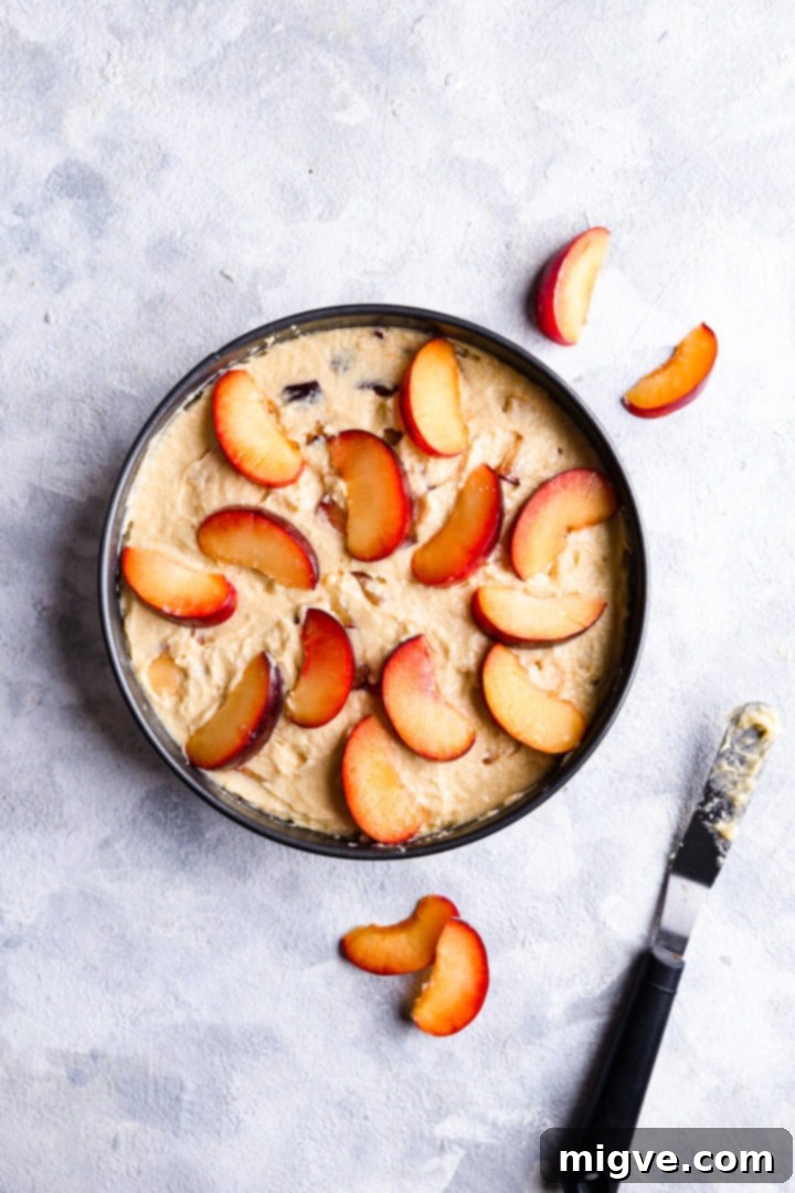 top view of round baking tin with cake batter and plum wedges on top