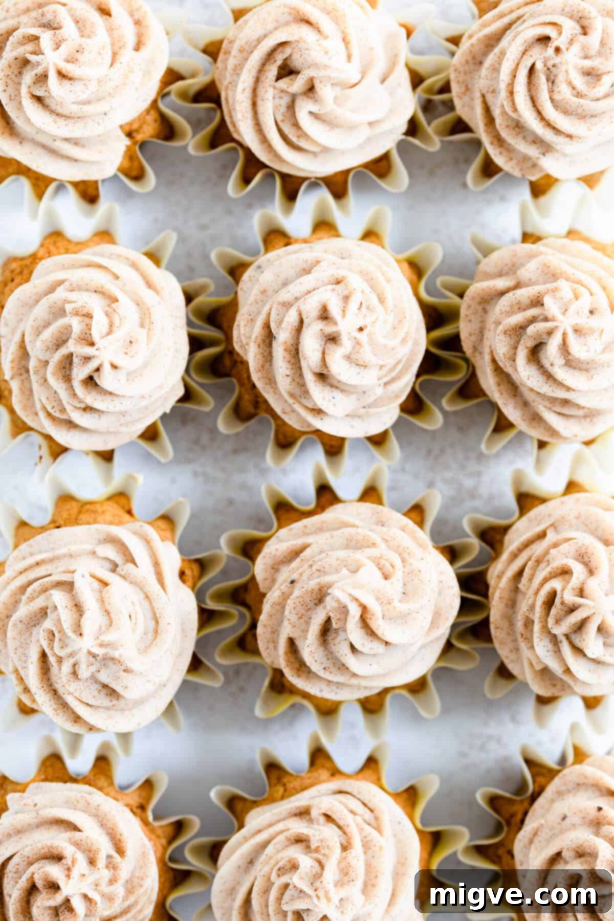overhead close up of pumpkin cupcakes with chai frosting, beautifully presented