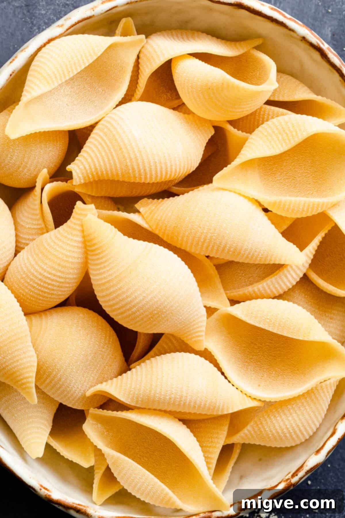close up of giant pasta shells, beautifully stuffed
