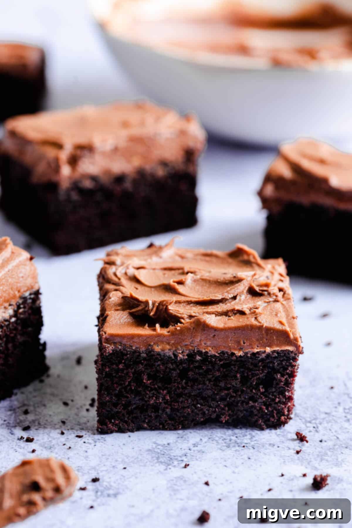 Side view of multiple square slices of dark chocolate cake, each topped with a generous layer of chocolate frosting, arranged appealingly.