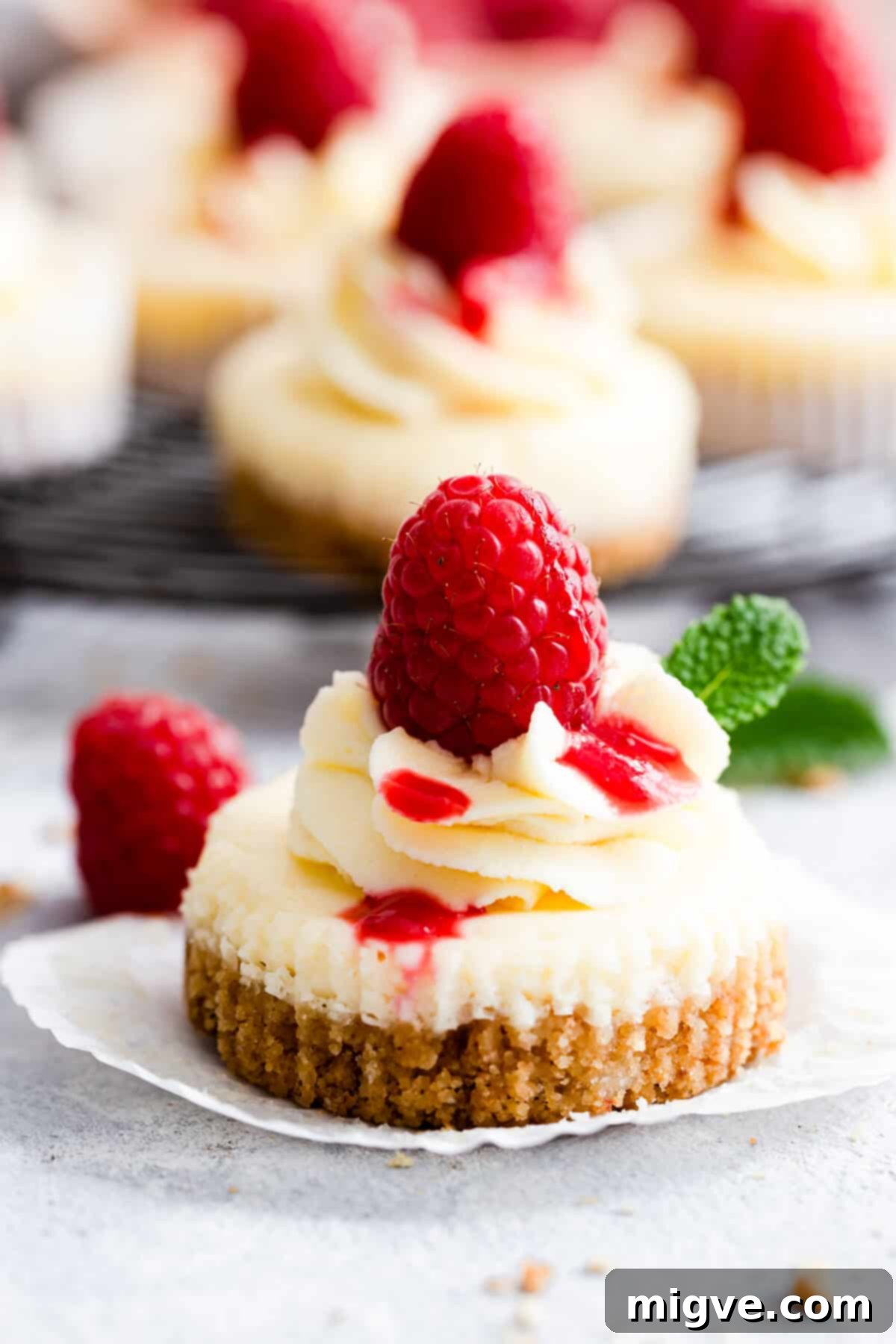 Cheesecake Bites 11 super close up of a perfect cheesecake bite