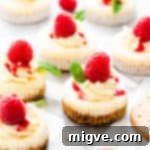 Cheesecake Bites 12 Delicious Mini Cheesecakes
