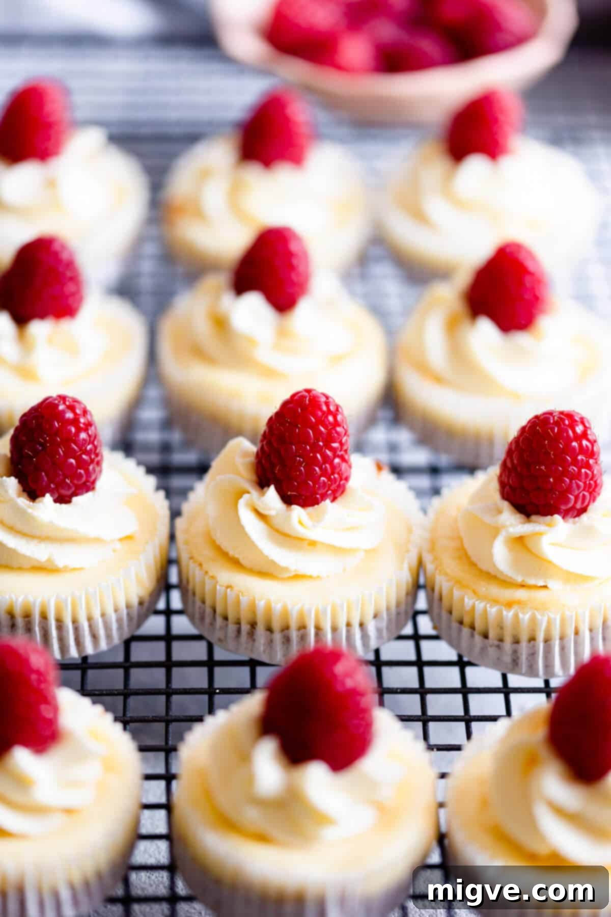 Cheesecake Bites 3 side close up of individual mini cheesecakes cooling on a wire rack