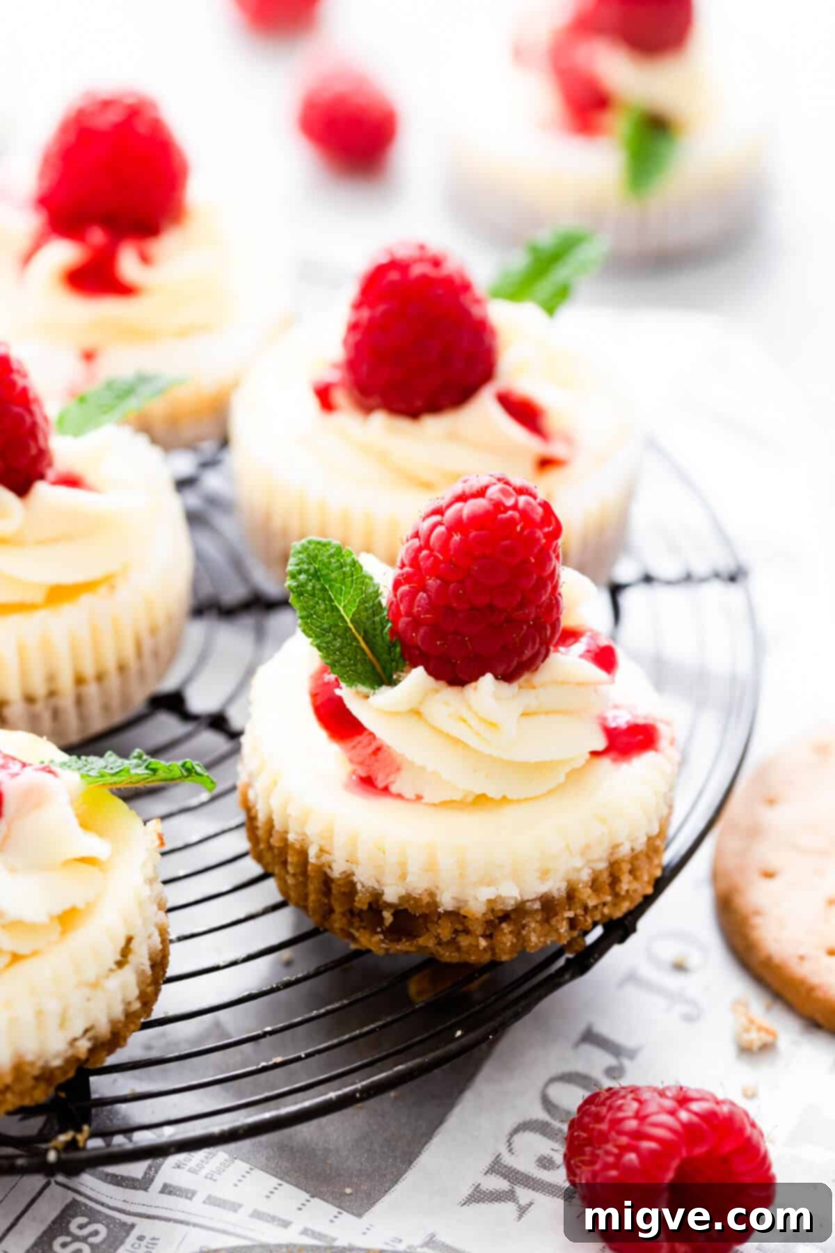 Cheesecake Bites 6 side close up at individual mini cheesecake topped with fresh raspberry