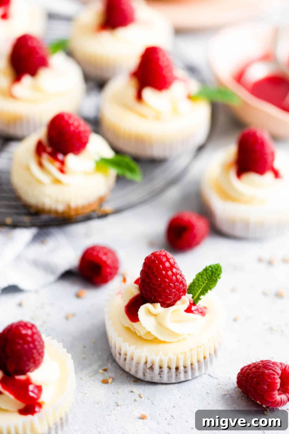 Cheesecake Bites 7 side shot of mini cheesecakes topped with whipped cream and berries