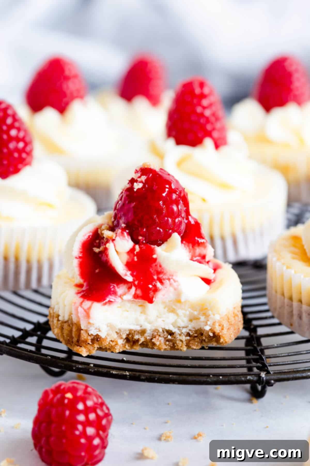 Cheesecake Bites 8 super close up of a small cheesecake with a bite taken out, revealing creamy texture