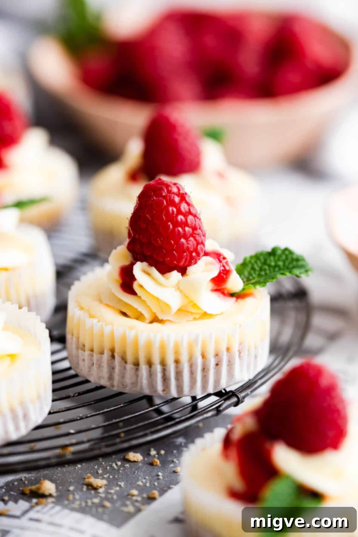 Cheesecake Bites 10 side close up of a single mini cheesecake bite on a wire rack