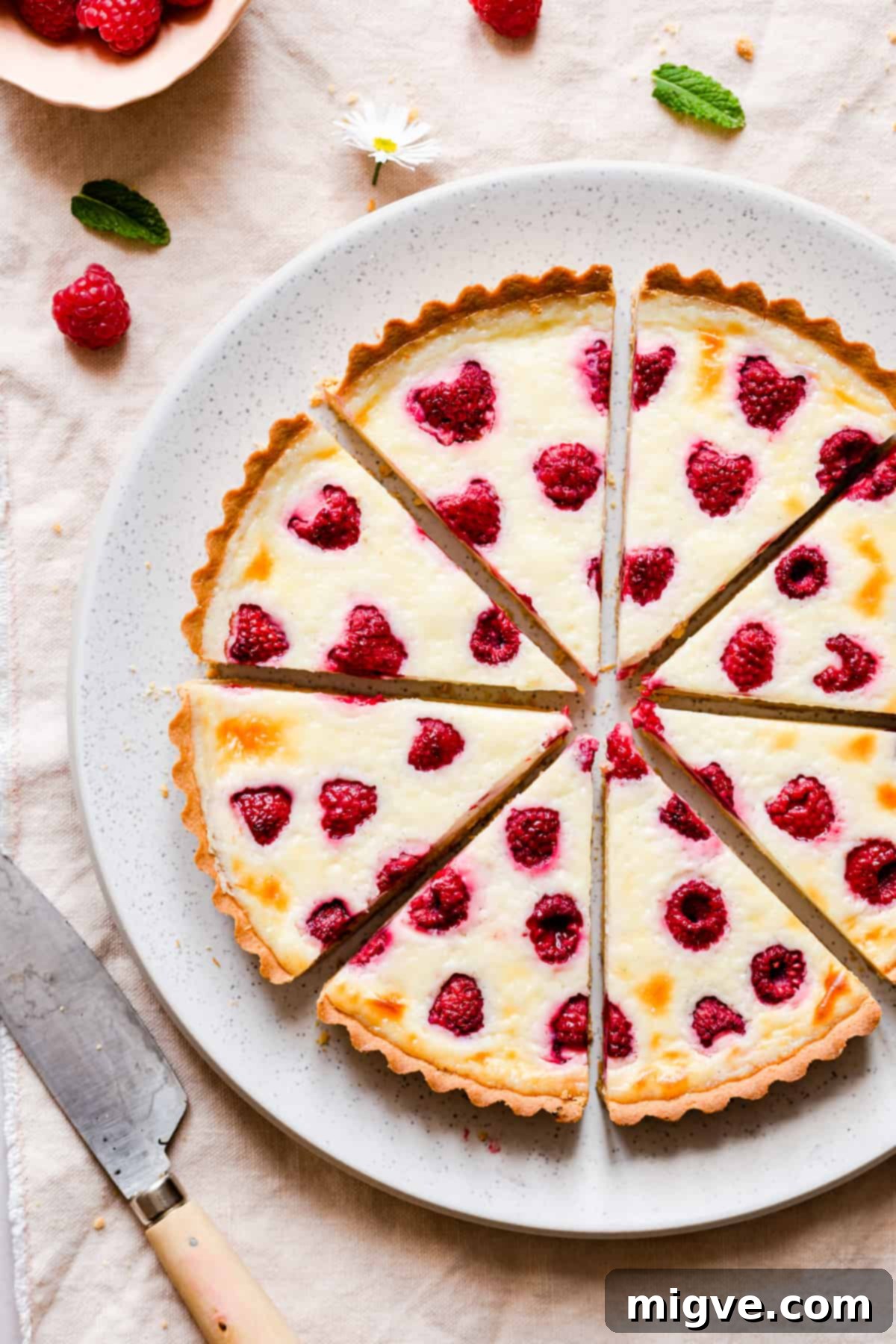 Velvet Raspberry Mascarpone Tart 2 top view close up of slices of berry tart on a plate