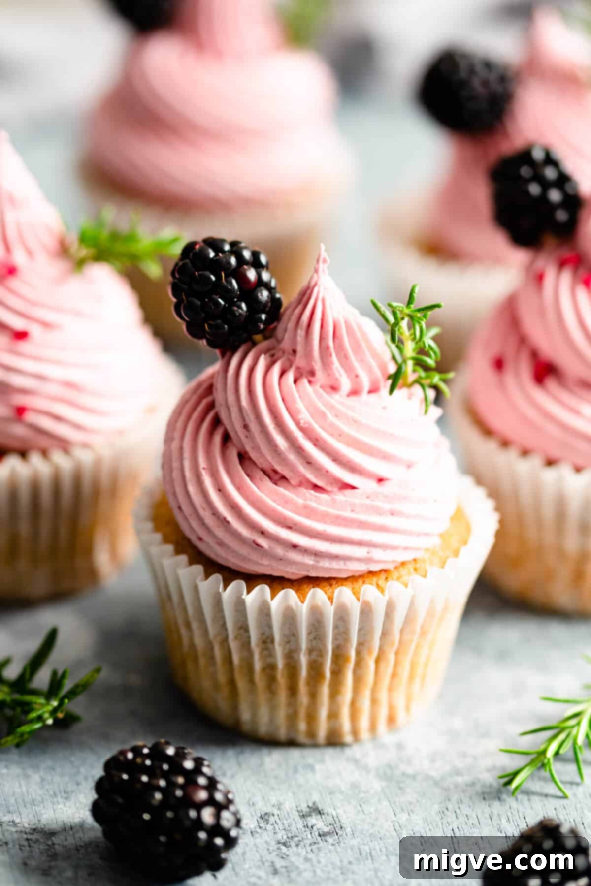 Super close-up of an individual cupcake, beautifully piped with pink blackberry buttercream and garnished with a fresh blackberry.