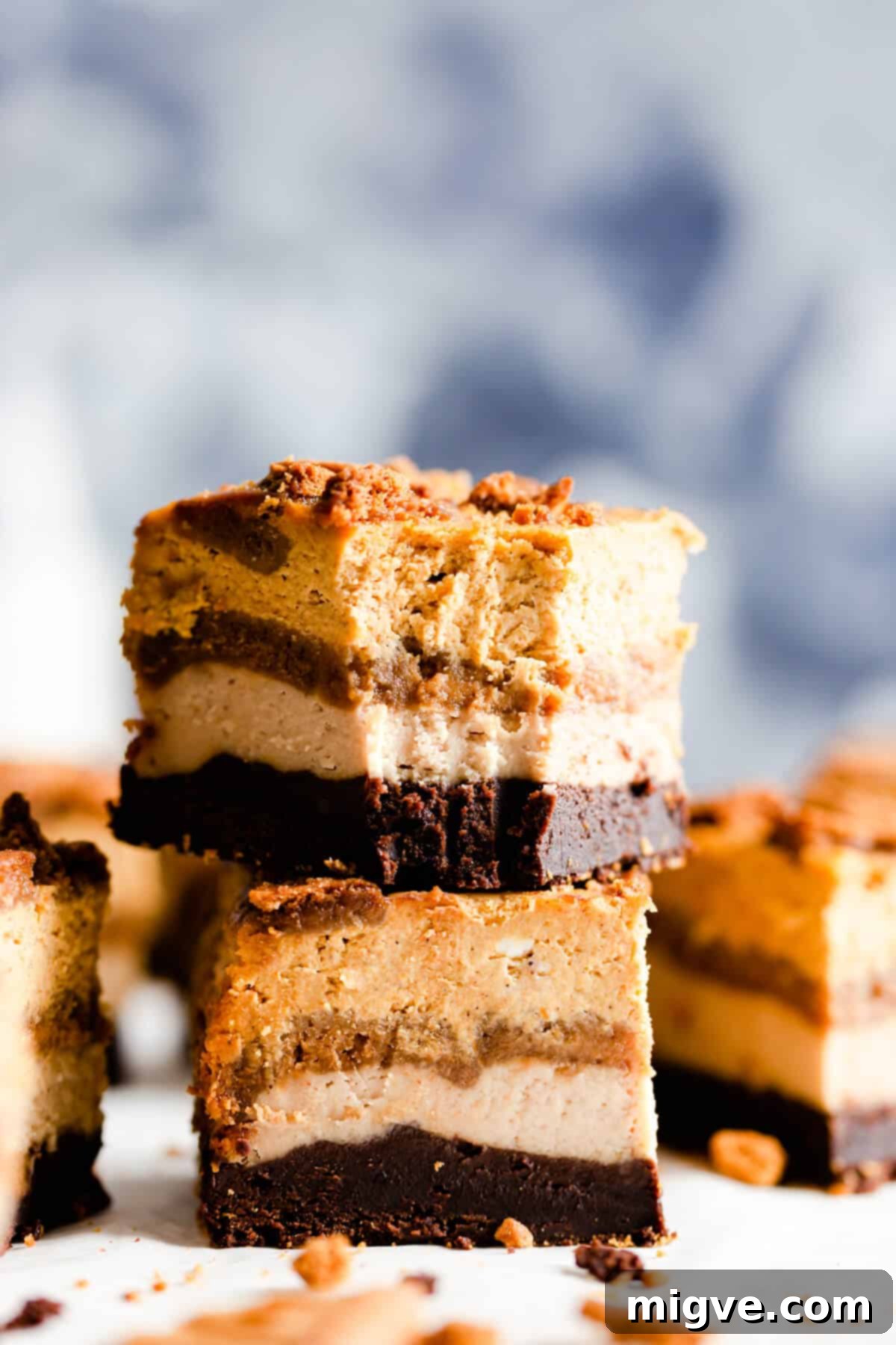side shot of two pieces of pumpkin biscoff cheesecake stacked together