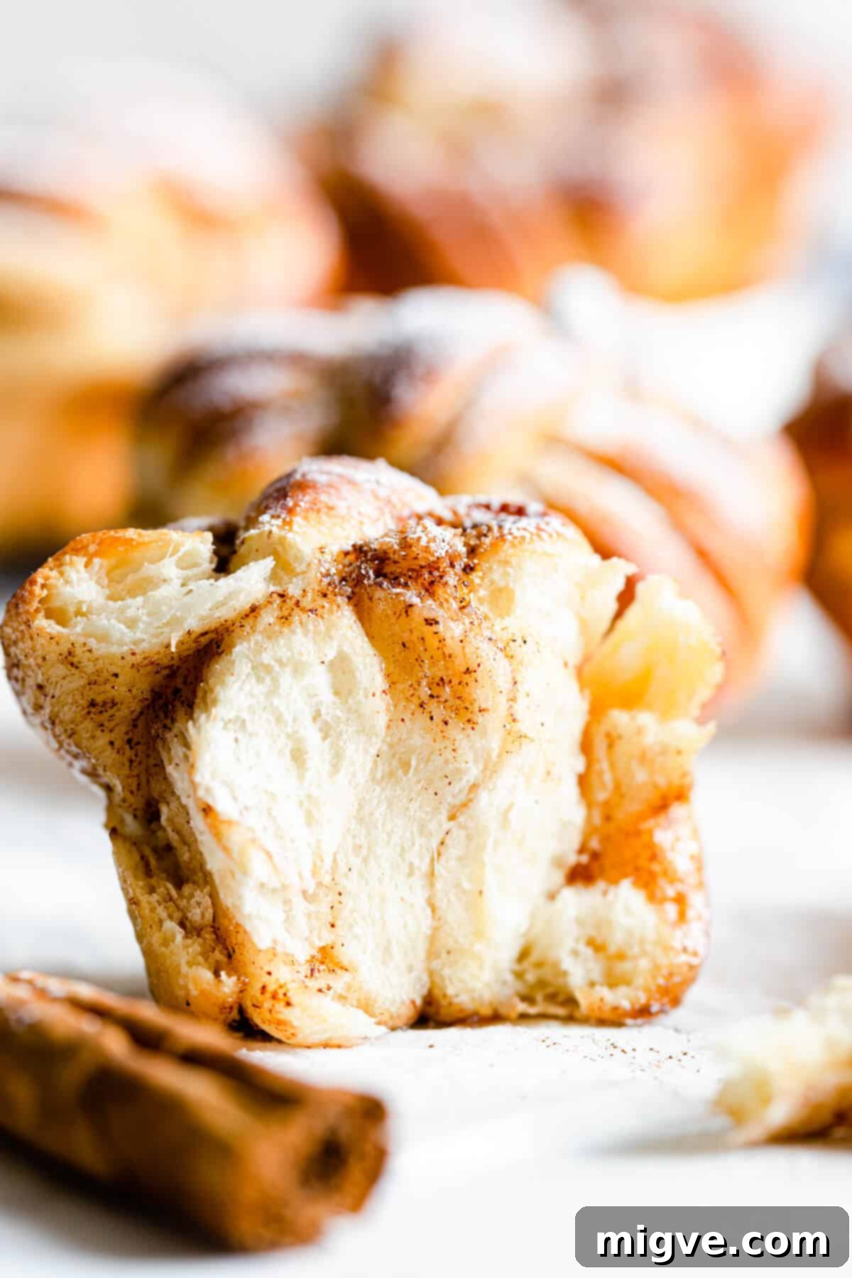 straight-ahead super close up revealing the fluffy texture inside the cinnamon bun