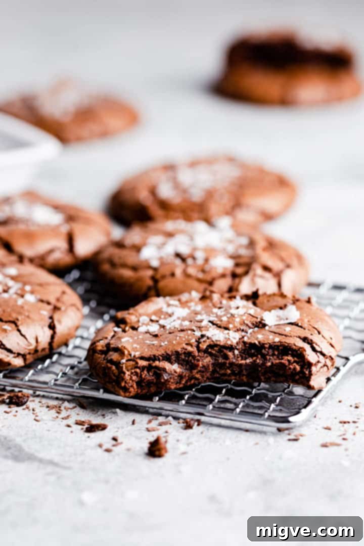 45 degree angle at brownie cookie with bite taken out of it