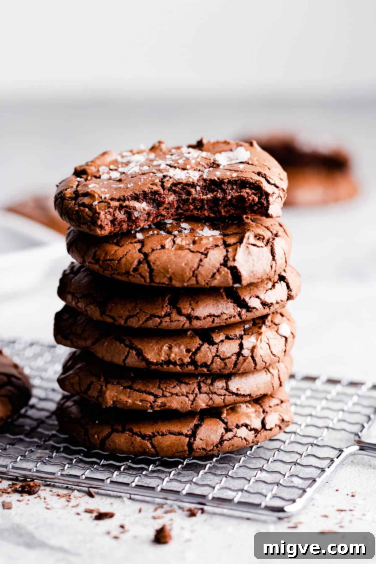 side close up at stack of browne cookies with a bite missing from the top cookie