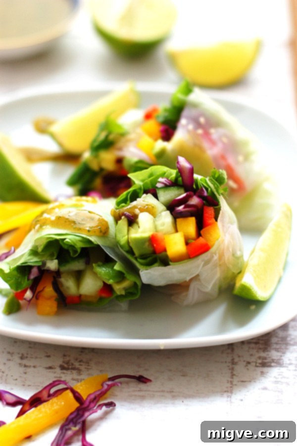 Colorful Vegetable Spring Rolls with Creamy Lime and Coconut Dip