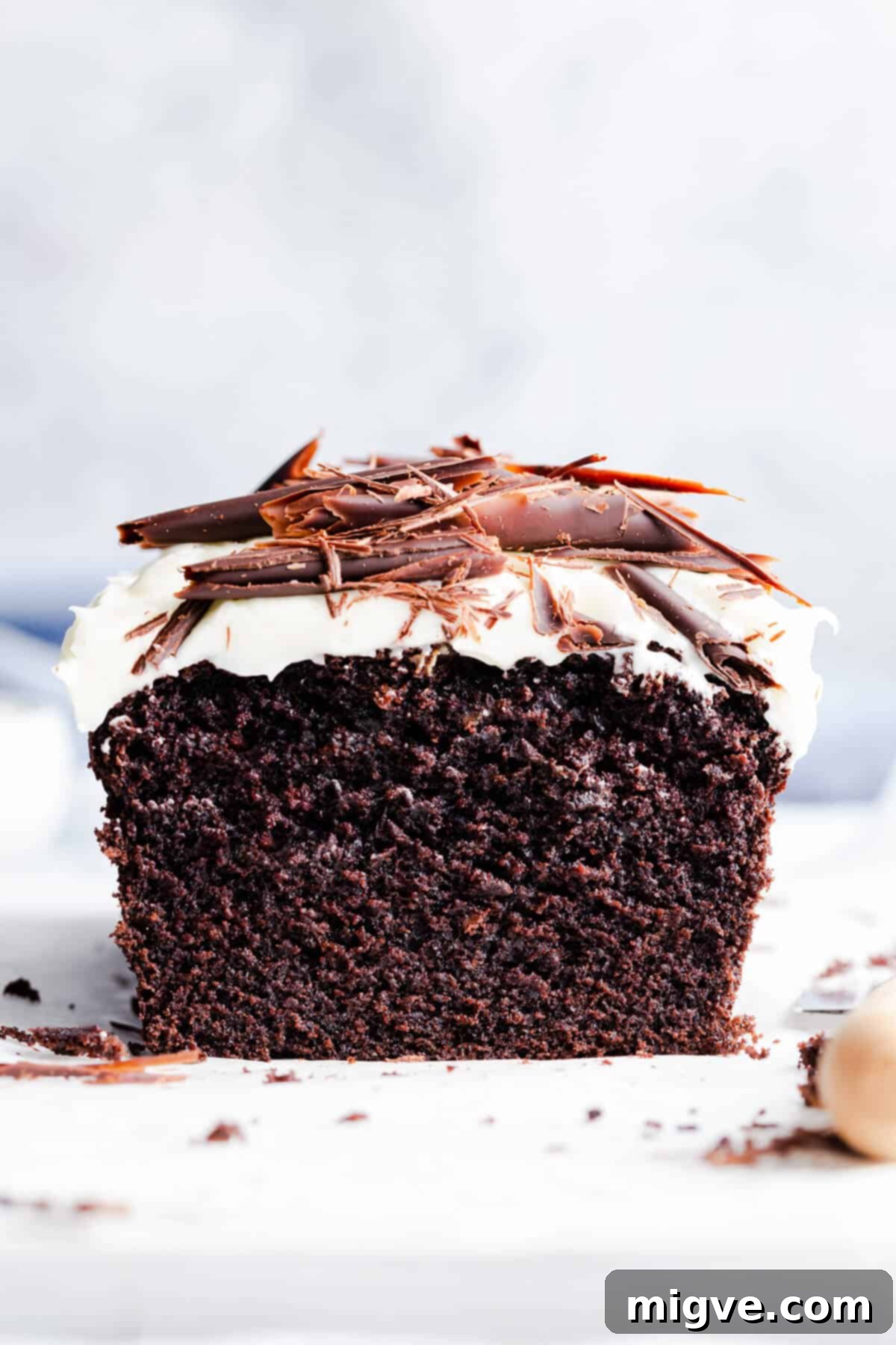 straight ahead close up photo of Guinness chocolate cake revealing its texture
