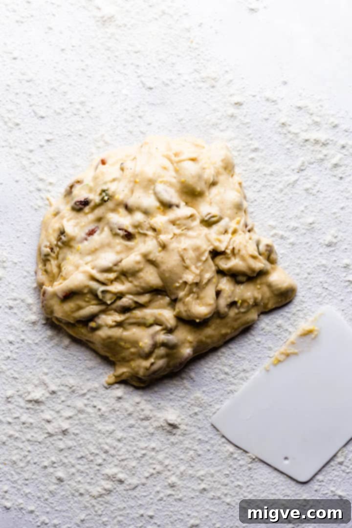 biscotti dough on a floured surface