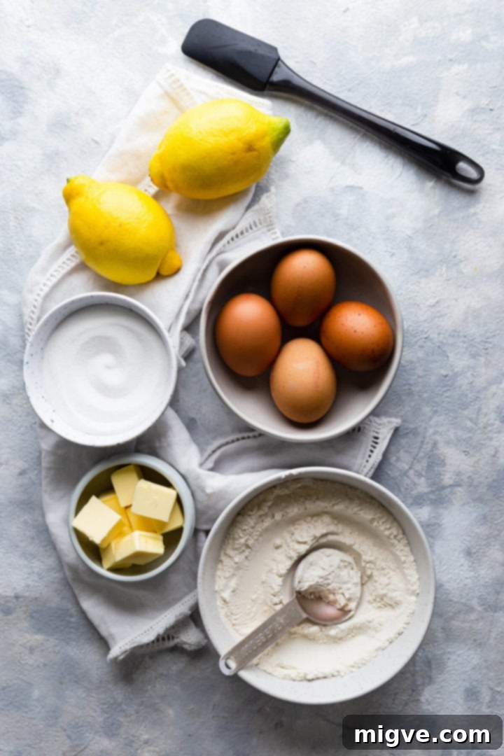 overhead shot of the ingredients for sponge cake