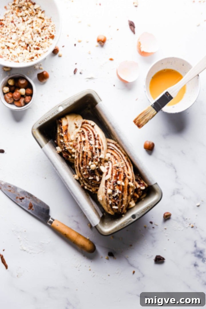 Overhead shot of a Nutella babka, perfectly shaped in a loaf pan, resting before its final bake.