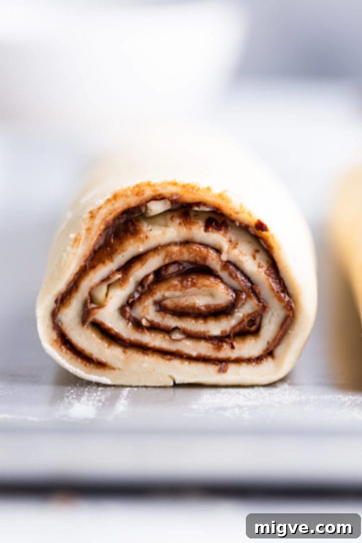 A straight-ahead, super close-up view of a perfectly rolled babka dough log, showcasing the visible chocolate filling.