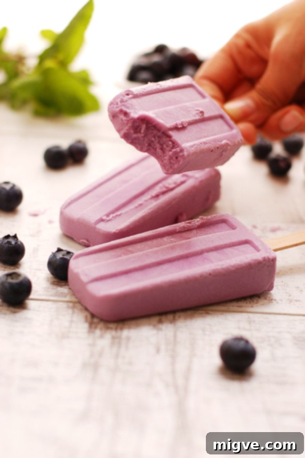 Purple Sweet Potato and Blueberry Yummy Popsicles! A refreshing and visually stunning vegan dessert.
