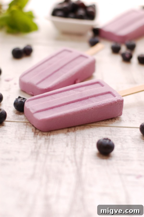 Blueberry and Purple Sweet Potato Creamy Popsicles! Yummy and easy to make, delicious for summer days!