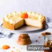 straight ahead super close up at a no bake pumpkin cheesecake with couple of slices cut off