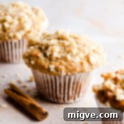 Straight-ahead super close-up of a single cinnamon oatmeal muffin, highlighting its texture and topping.