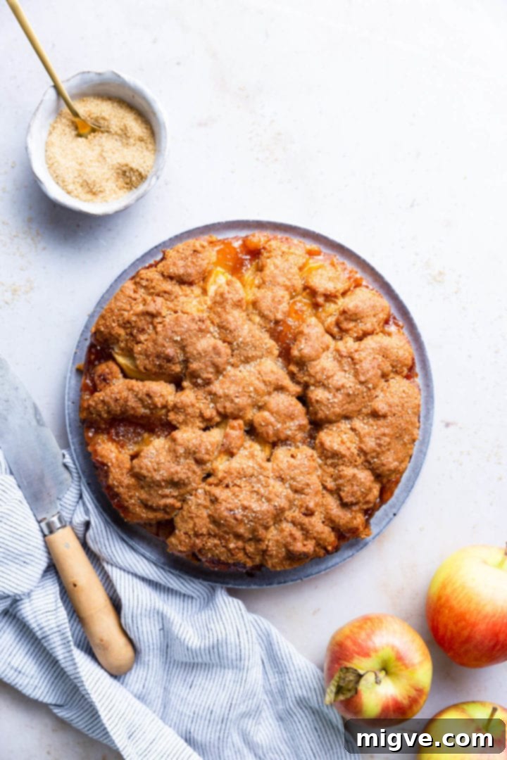 No-Fuss Apple Cake 10 overhead shot of baked easy apple cake sprinkled with sugar on top, freshly out of the oven