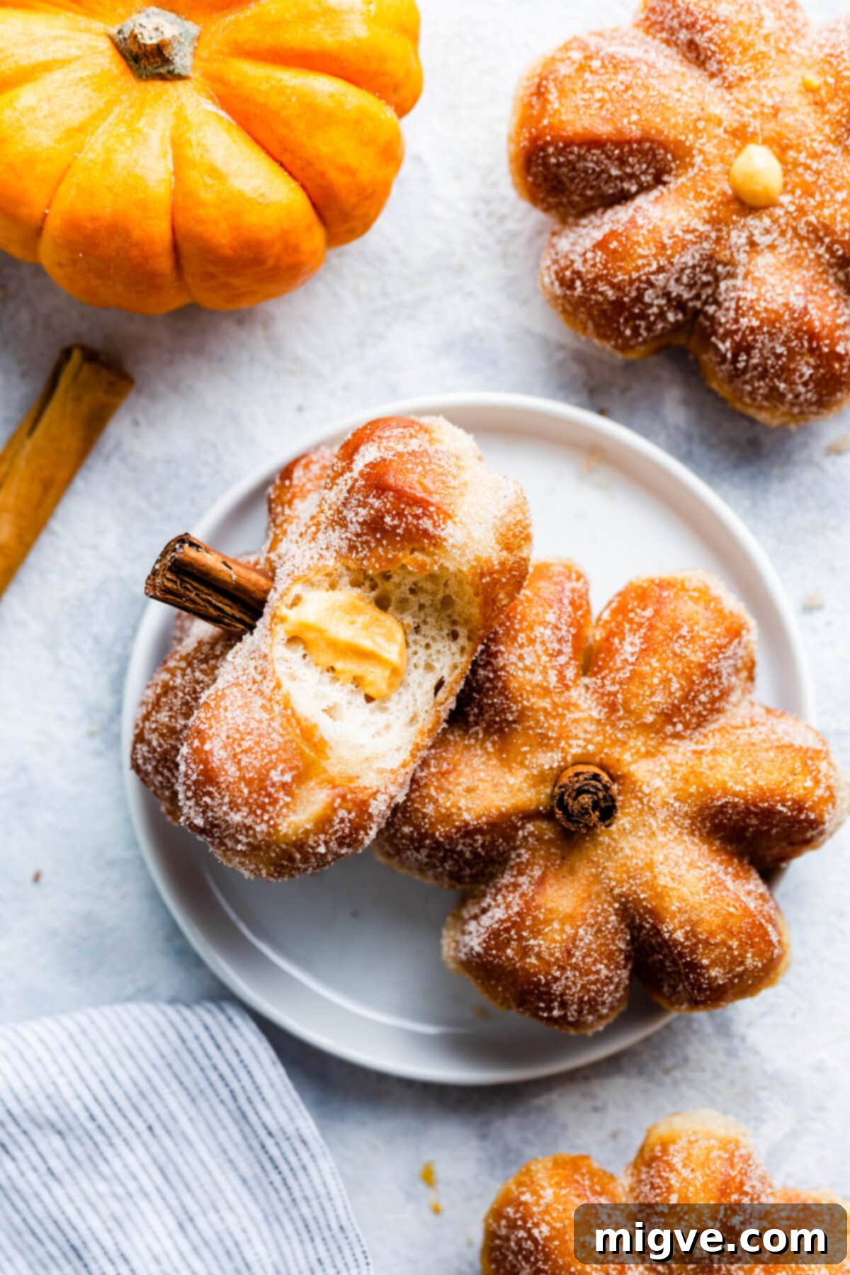 Spiced Pumpkin Doughnut Delights 11 overhead view of two pumpkin doughnuts on a plate with one missing a bite