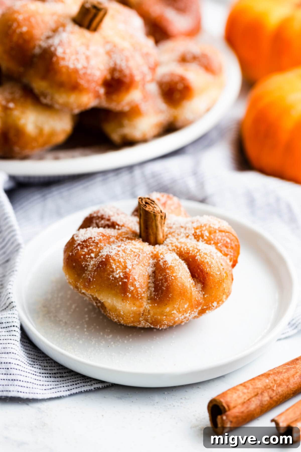 Spiced Pumpkin Doughnut Delights 13 side close up at a single pumpkin spice doughnut shaped like pumpkin