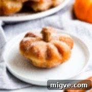 Spiced Pumpkin Doughnut Delights 16 side super close up at pumpkin spice doughnut shaped like pumpkin on a plate