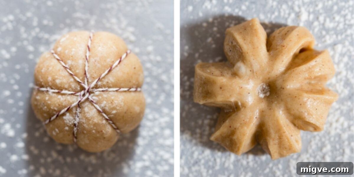 Spiced Pumpkin Doughnut Delights 6 top view photos of different shapes of dough for doughnuts
