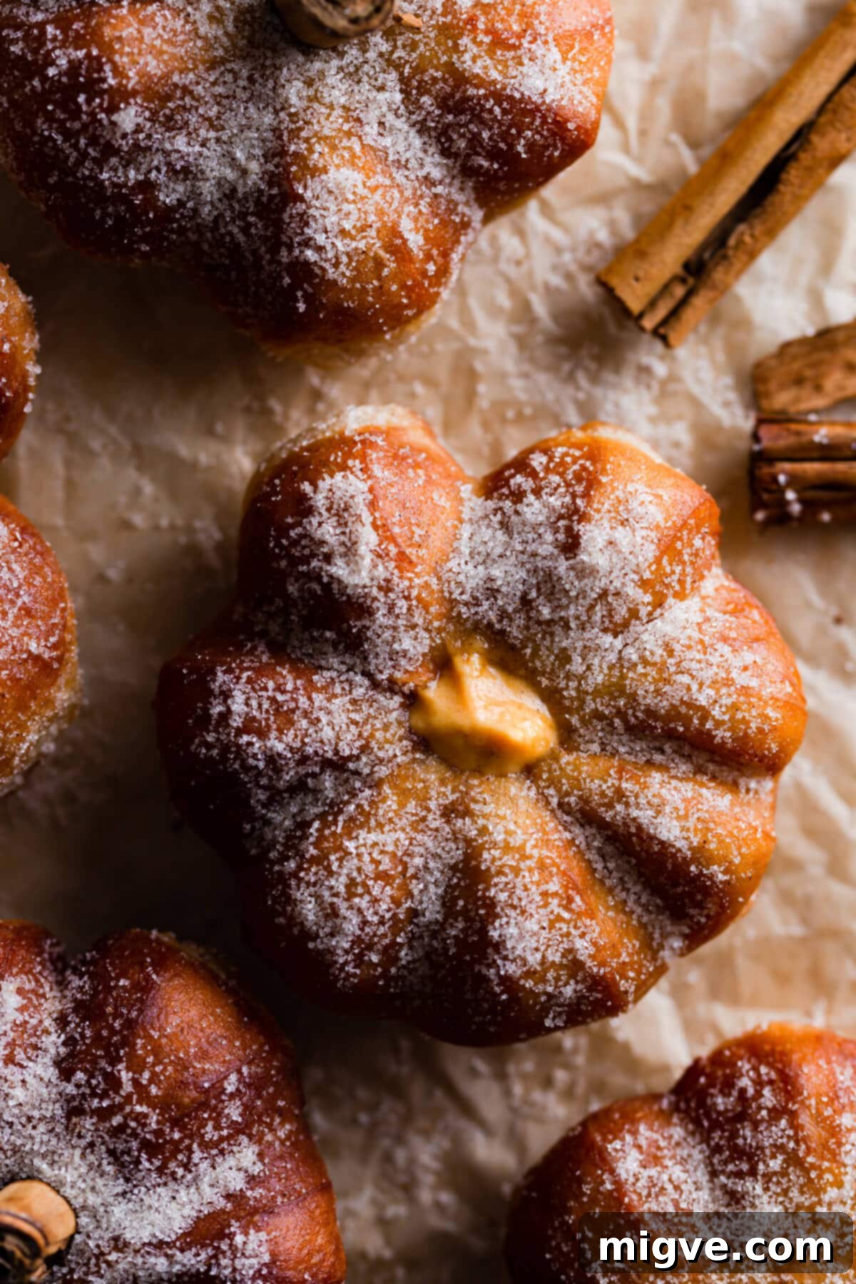 Spiced Pumpkin Doughnut Delights 9 top view close up at pumpkin spice doughnut covered in sugar