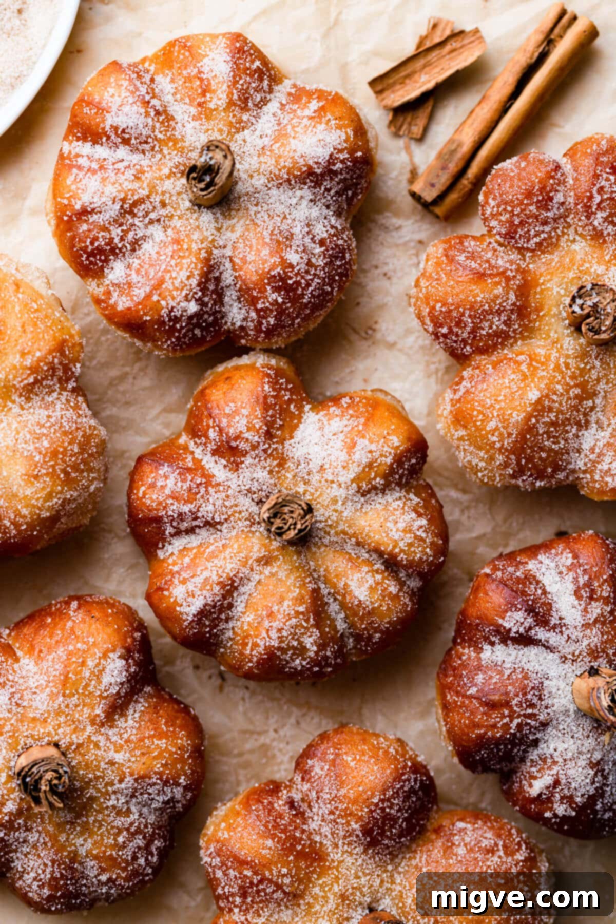 Spiced Pumpkin Doughnut Delights 10 overhead shot of pumpkin spice doughnuts with sugar coating