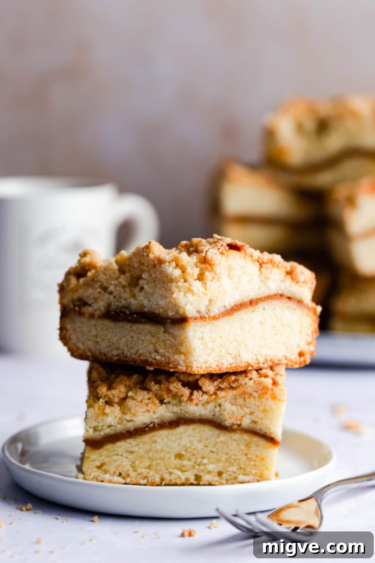 straight ahead close up of two slices of pumpkin sour cream coffee cake
