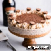 side super close up of a cheesecake with Baileys and whipped cream on top