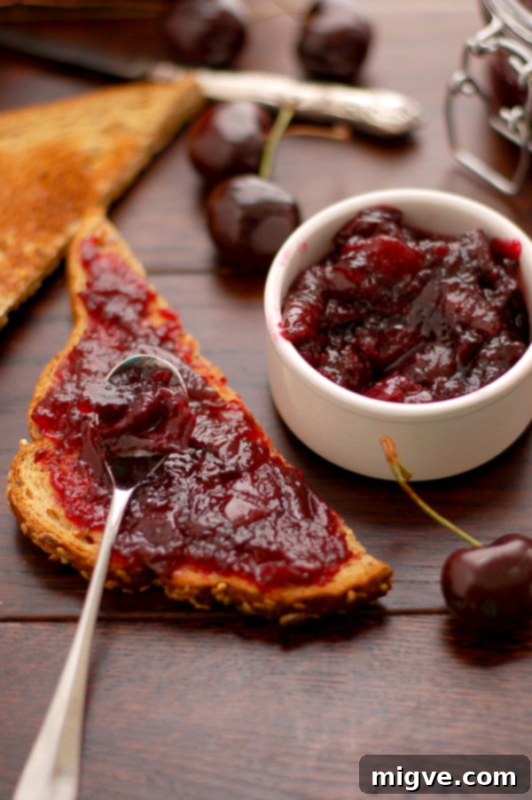 Close-up of Cherry Jam with Cinnamon on a spoon, ready to be tasted.