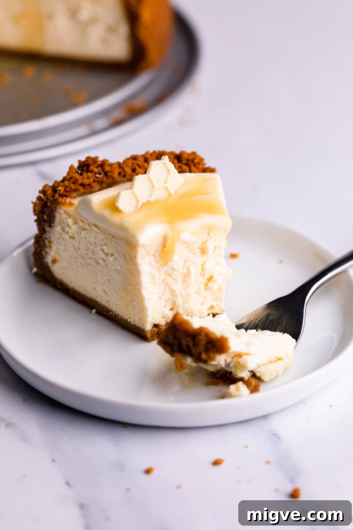 Velvet Honey Cheesecake 10 close up at a slice of cheesecake on a plate with bite missing, showing its rich texture