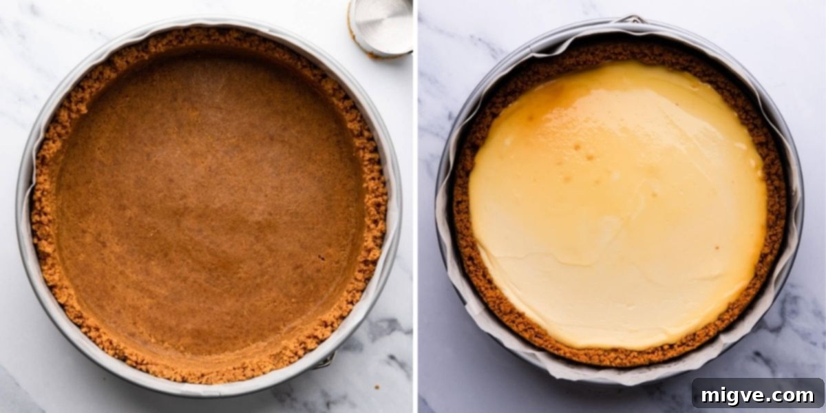 Velvet Honey Cheesecake 4 process of making honey cheesecake 1, showing ginger nut biscuit crumbs being pressed into a springform pan to form the crust