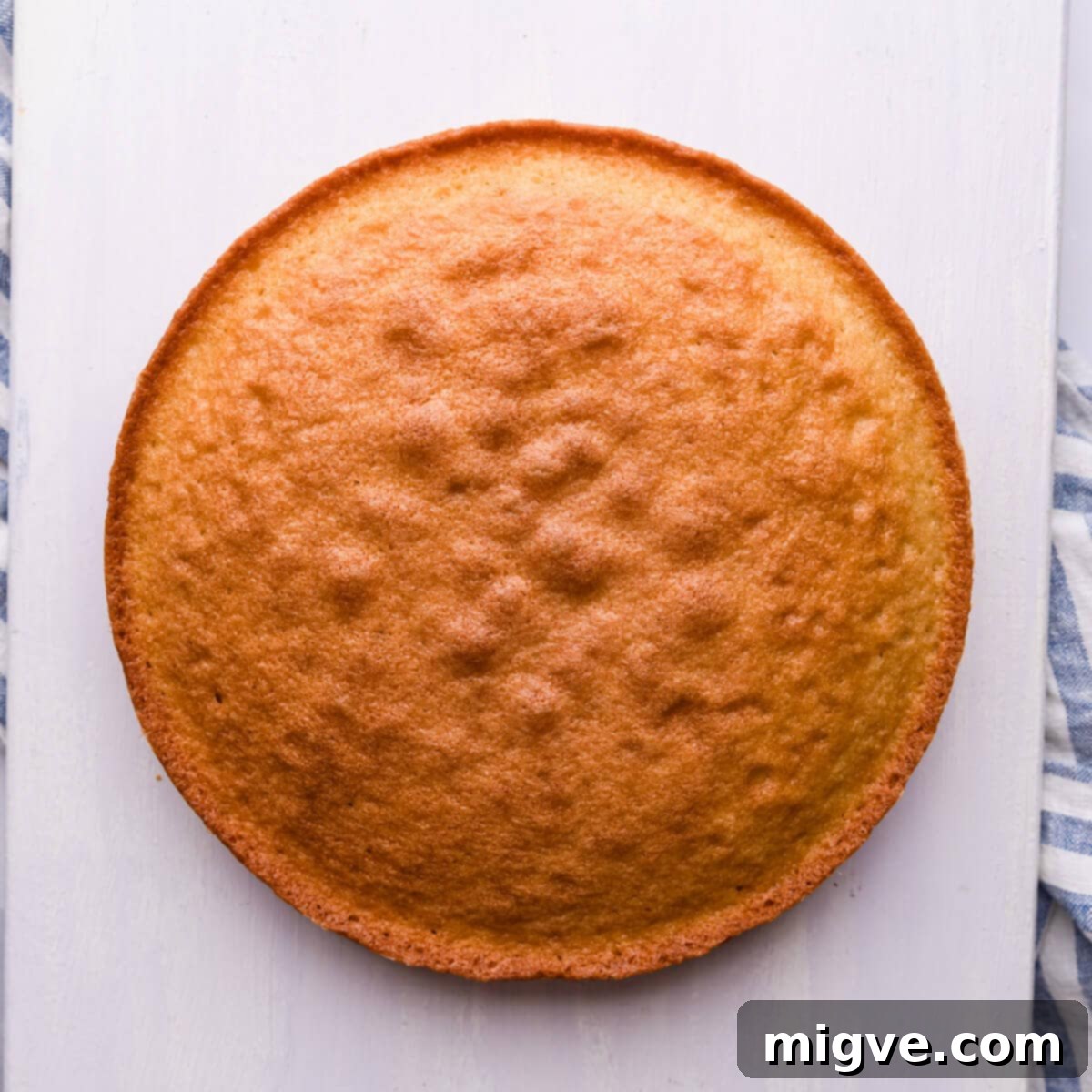 Classic Victoria Sponge 9 top view at a baked sponge