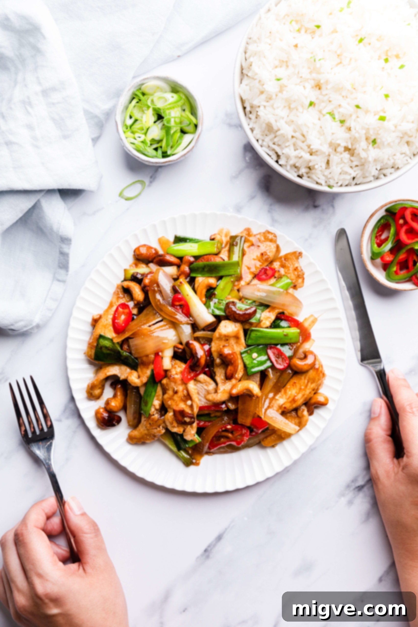 Crunchy Cashew Thai Chicken 2 top view of plateful of Thai cashew chicken with rice
