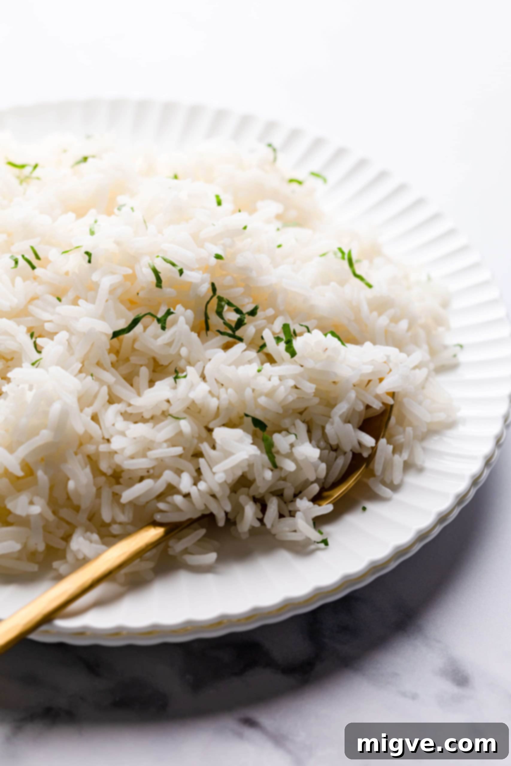 Crunchy Cashew Thai Chicken 12 side close up at a plate with jasmine rice