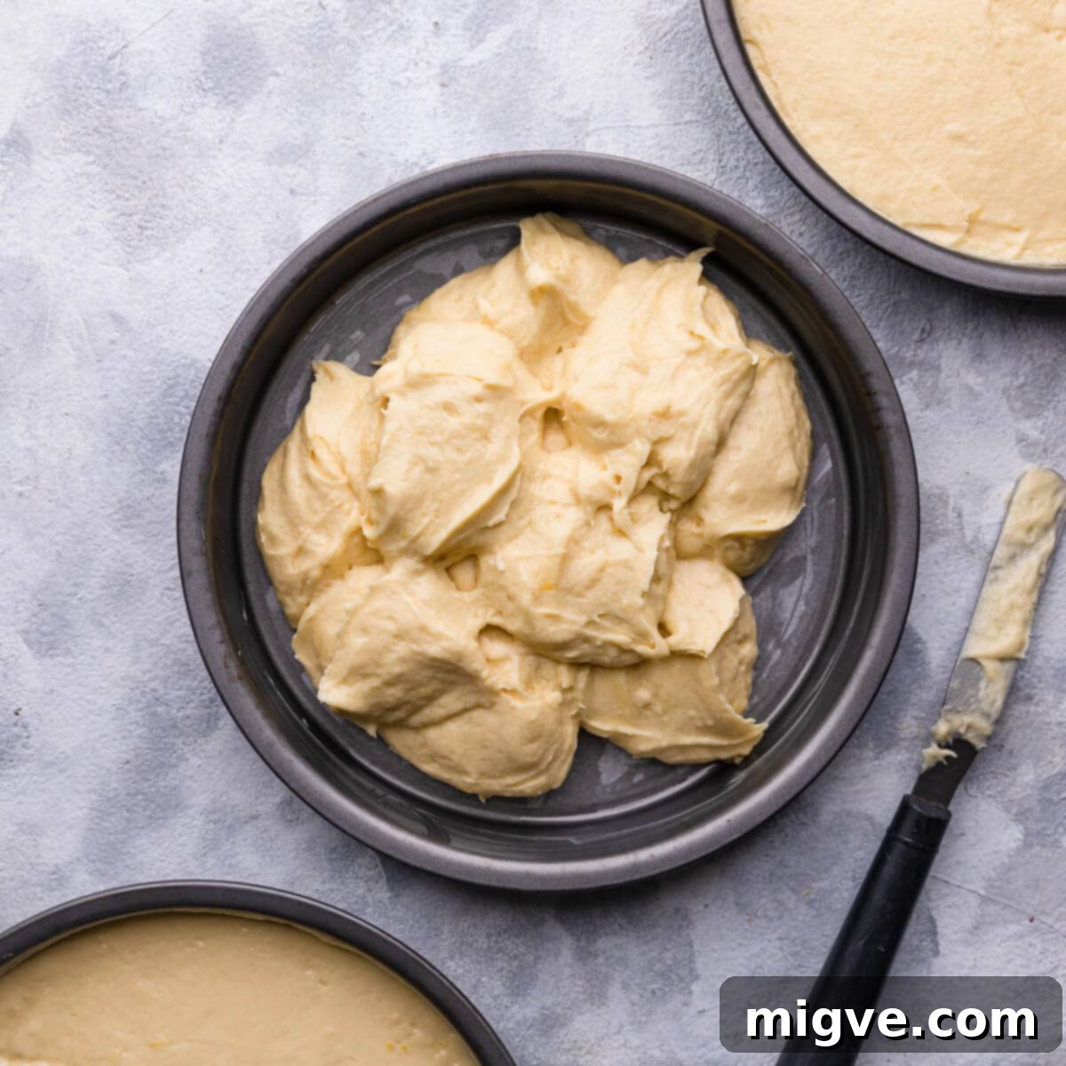 Overhead photo of a round cake tin filled with a precisely divided cake batter, smoothed on top, ready for baking in the oven.