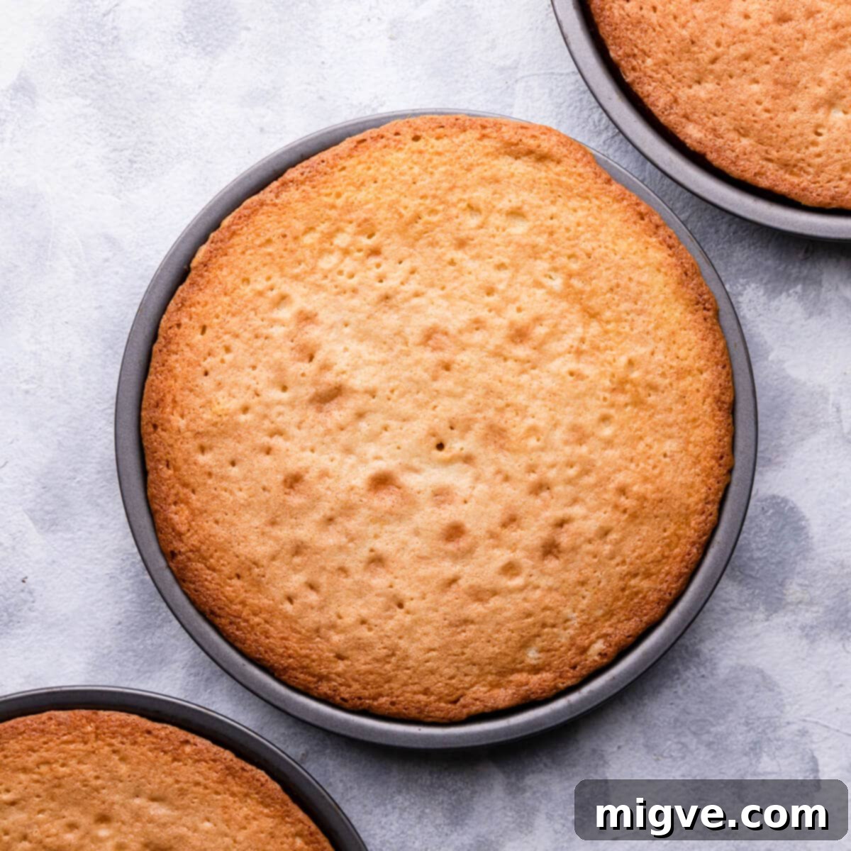Close-up overhead view of a perfectly baked, golden-brown sponge cake, fresh from the oven, resting on a cooling rack.